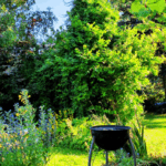 Bild von einem Garten mit grüner Wiese, grünen Bäumen im Sonnenlicht. Im Vordergrund steht ein Kugelgrill