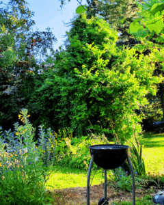 Bild von einem Garten mit grüner Wiese, grünen Bäumen im Sonnenlicht. Im Vordergrund steht ein Kugelgrill