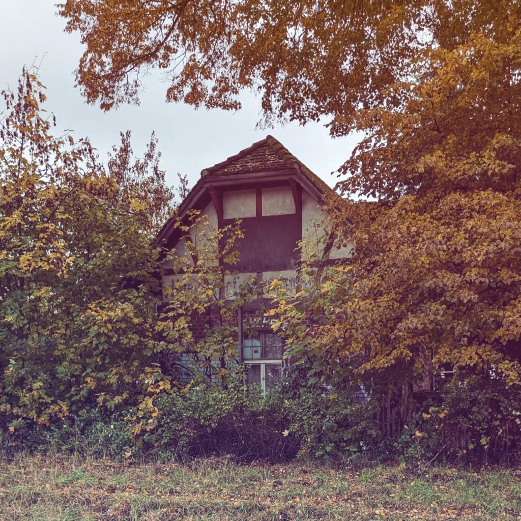 ein altes Fachwerkhaus ist inzwischen von Bäumen eingewachsen. Die Bäume haben butes Laub. Es ist Herbst