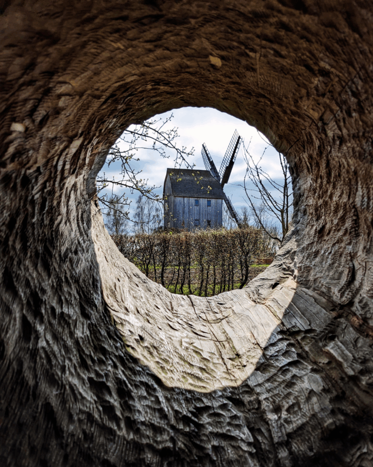 Das Foto wurde durch ein Loch aufgenommen, welches in einen dicken Baumstamm gehauen worden ist. Man sieht die Spuren der Bearbeitung. Durch das Loch fotografiert worden ist eine Bockwindmühle in einem Freilichtmuseum. Es scheint die Sonne.